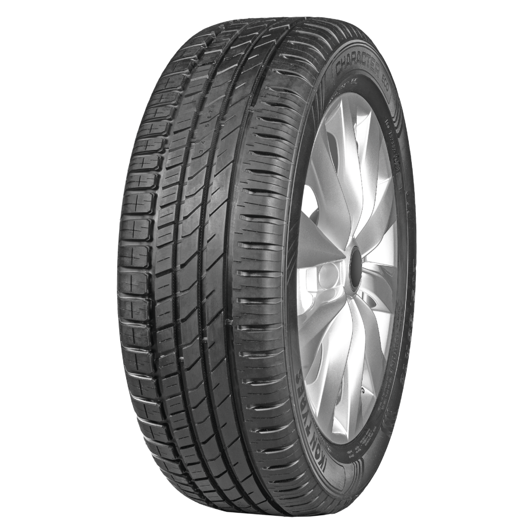 Легковая шина 205/55R16 91H Ikon Character Eco (Nordman SX3) летняя